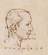 Study of the proportion of the head Leonardo Da Vinci